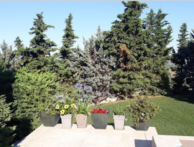 Villa Corina Near The Airport Kouvarás Екстериор снимка